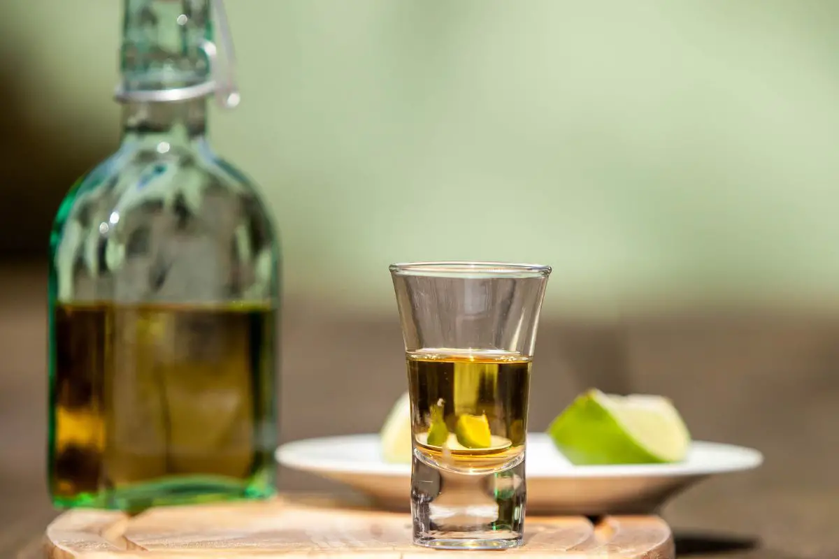 Does Tequila Go Bad? Distillery Nearby